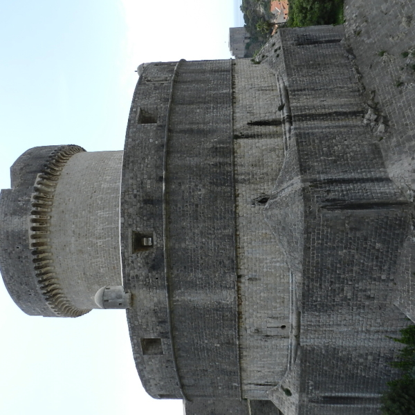 DSCN3578