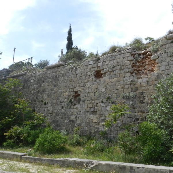DSCN3591