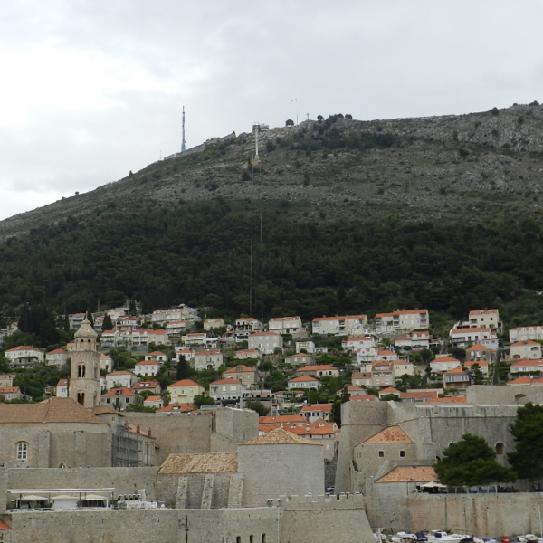 DSCN3654