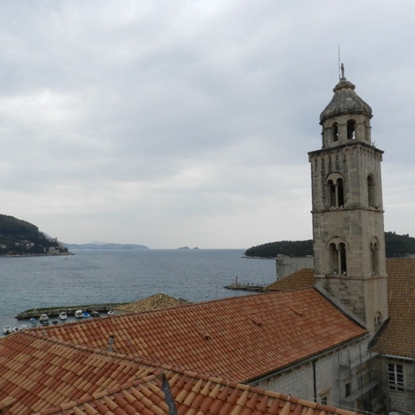 DSCN3664