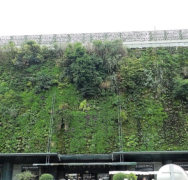 DSCN4365